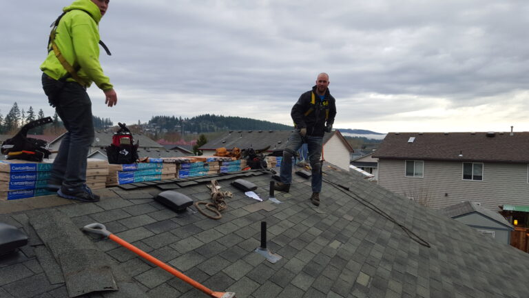 shingle roof maintenance