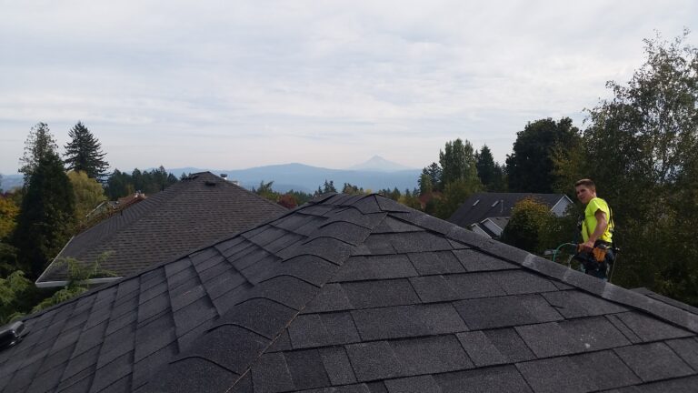 roof cleaning