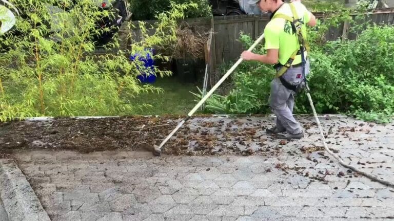 roof cleaning