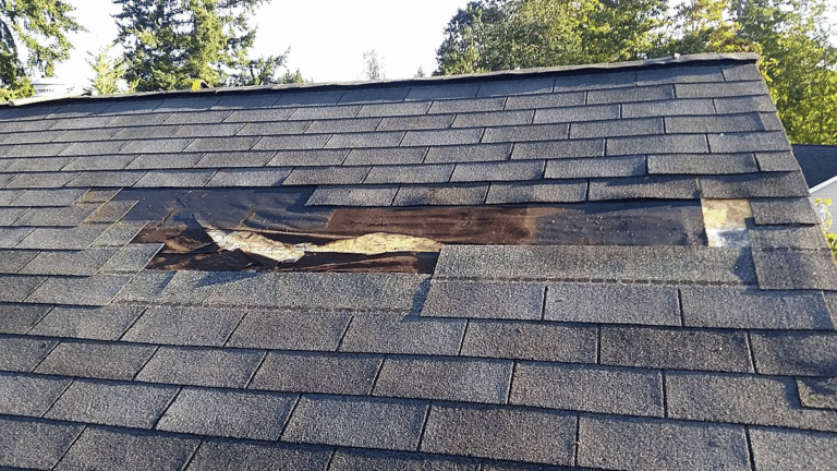 roof leak repair