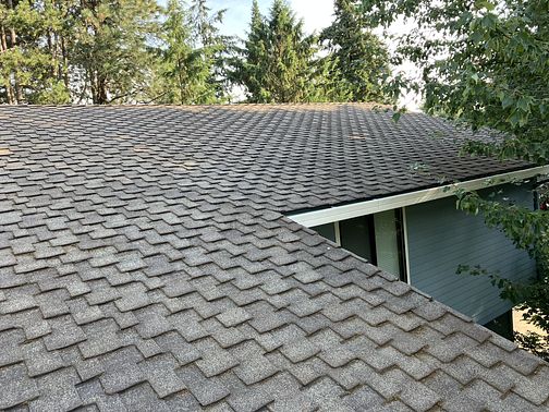 soft wash roof cleaning