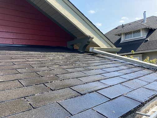 soft wash roof cleaning