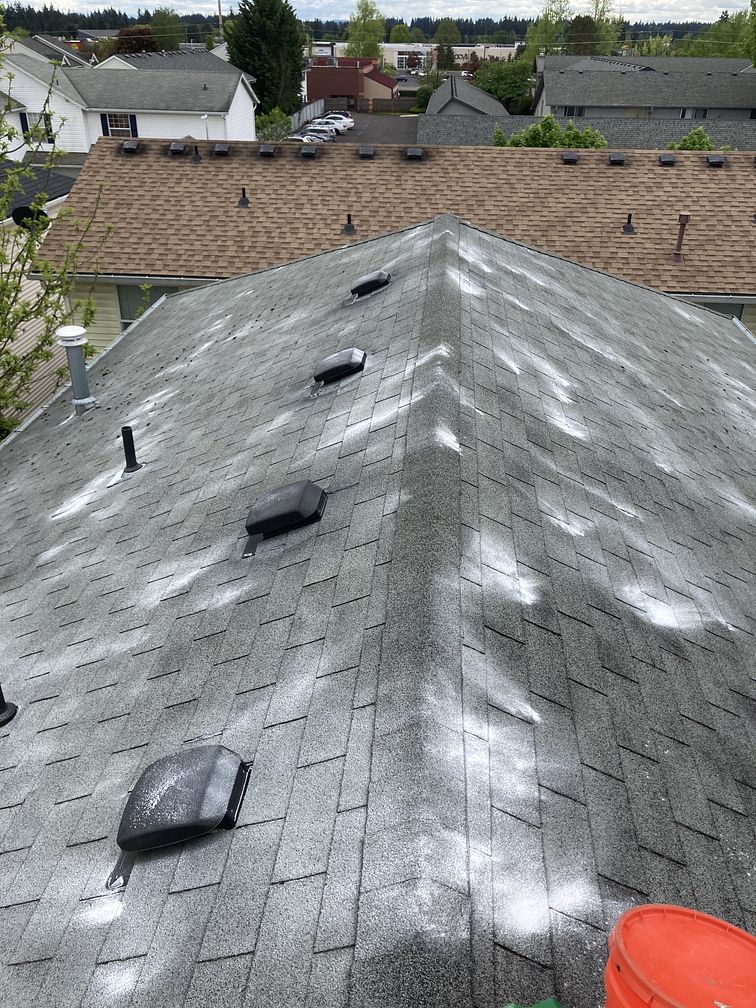 Roof with zinc powder for moss removal in Lake Oswego