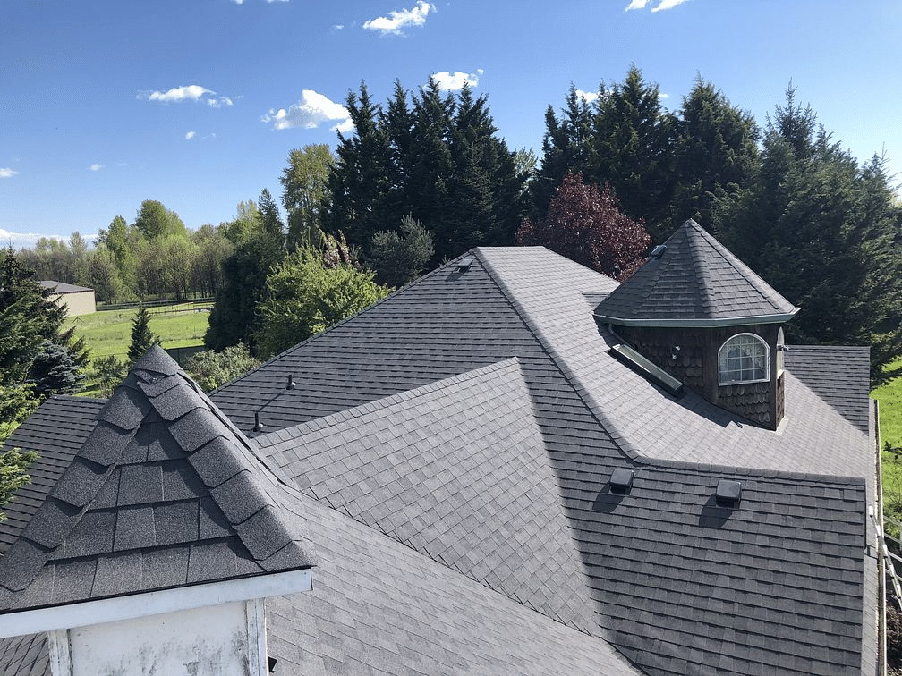 granule loss on shingles