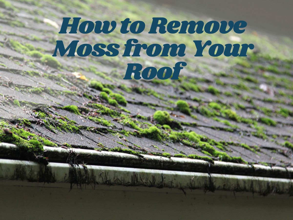 How to Remove Moss from Roof IBEX Roof
