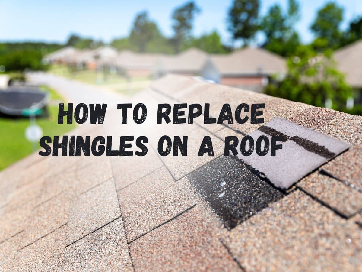 How to Replace Shingles on a Roof IBEX Roof