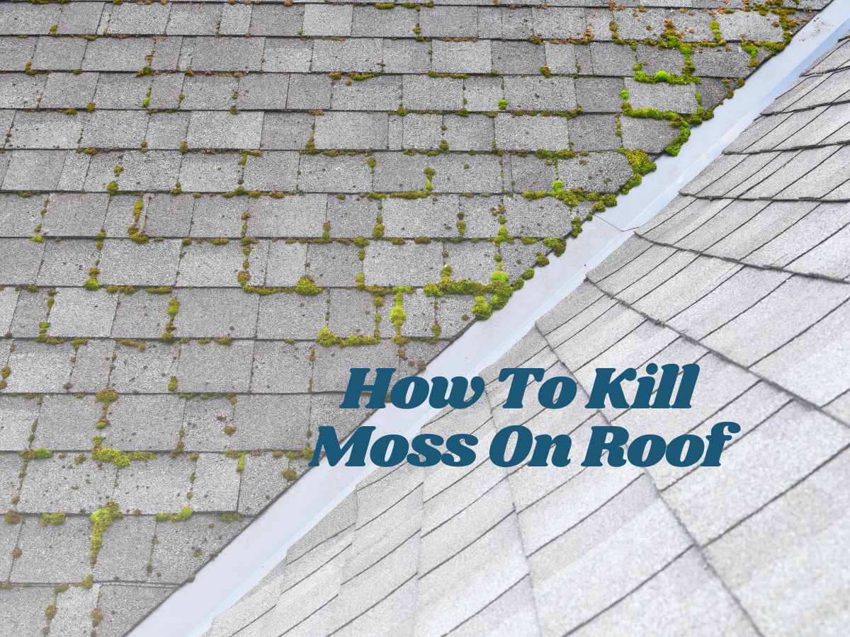 How to Kill Moss on Roof IBEX Roof