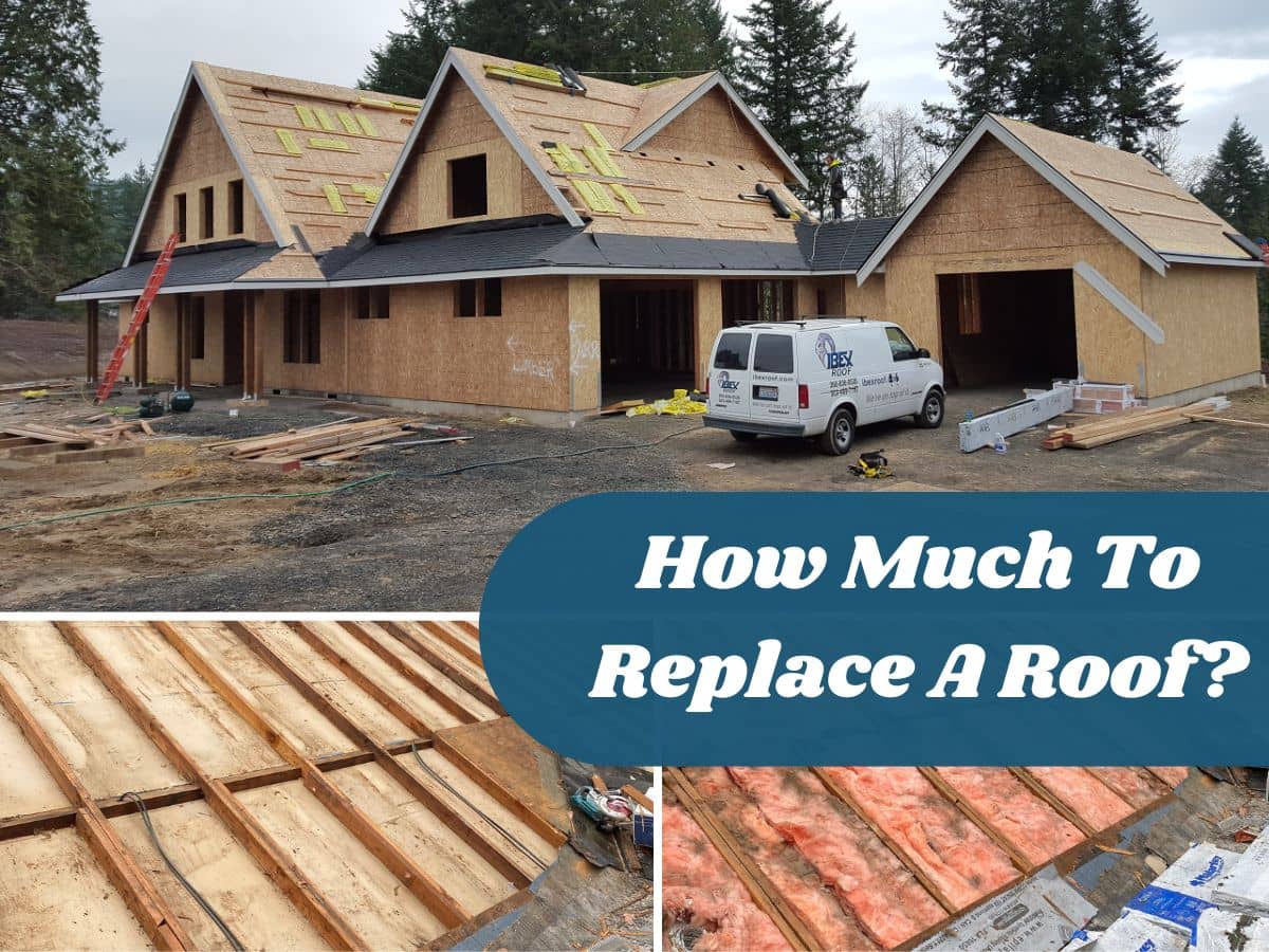 How Much to Replace a Roof? IBEX Roof