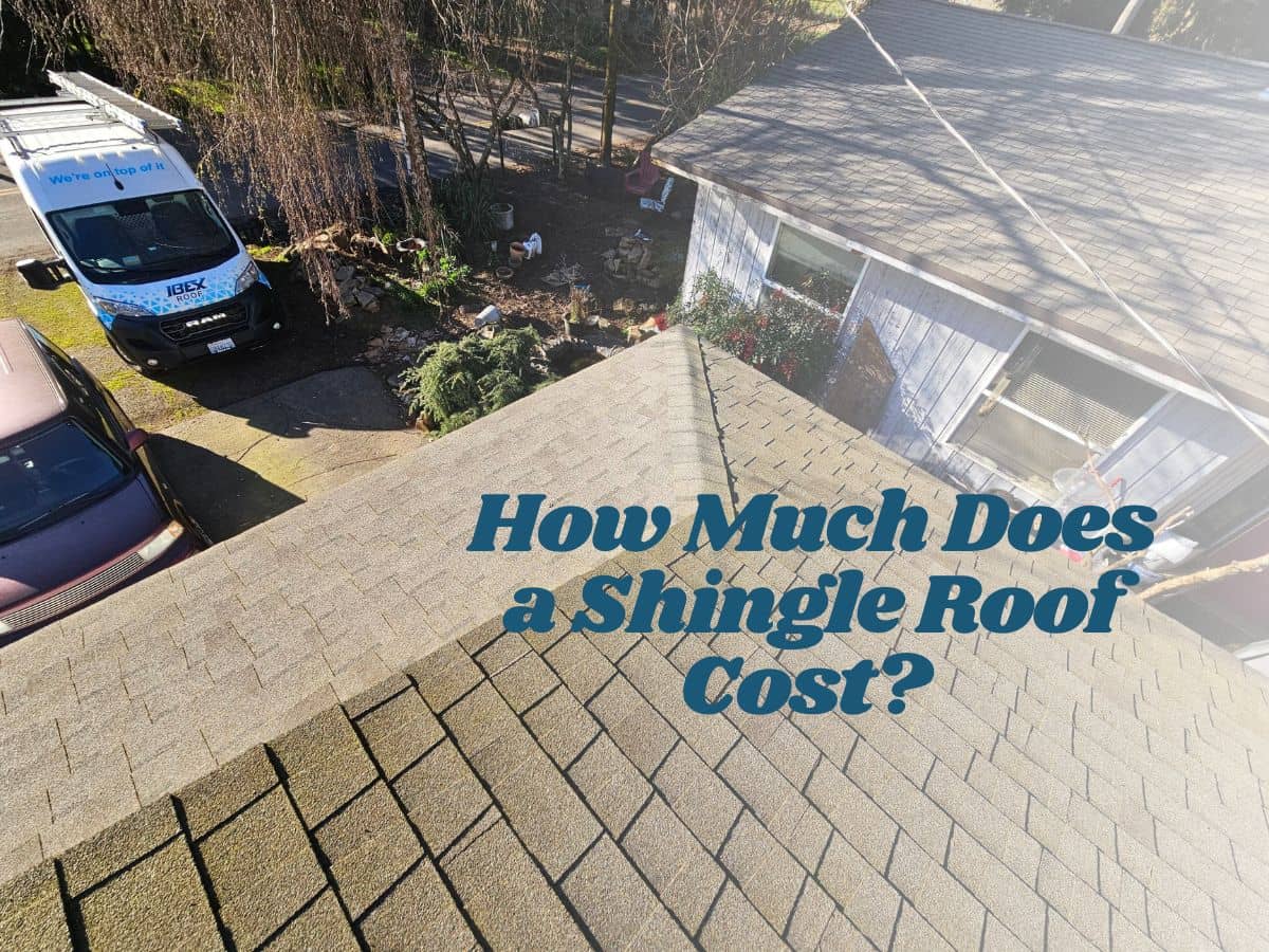 How Much Does a Shingle Roof Cost? IBEX Roof