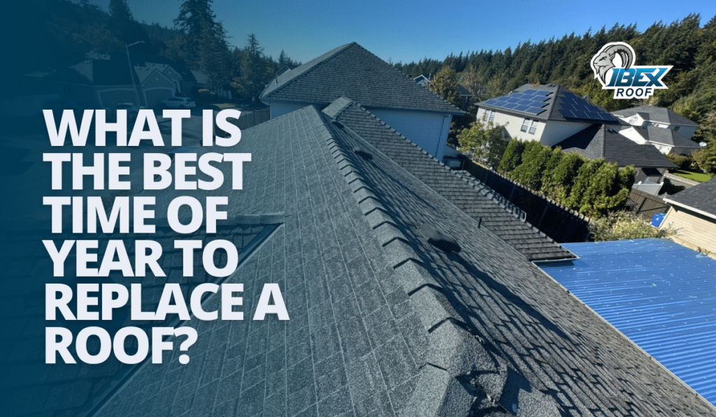 New asphalt shingle roof installation by IBEX Roof in Portland, showing proper timing during dry season, best time of year to replace roof