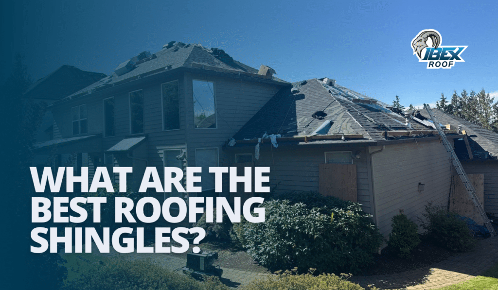 Modern home with new asphalt roofing shingles installed, promoting the topic “What Are the Best Roofing Shingles?”